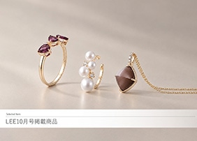 �G��LEE10�����f�ڏ��i