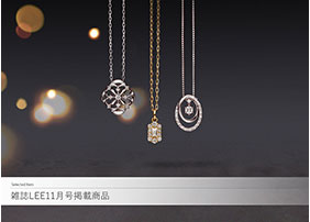 �G��LEE11�����f�ڏ��i