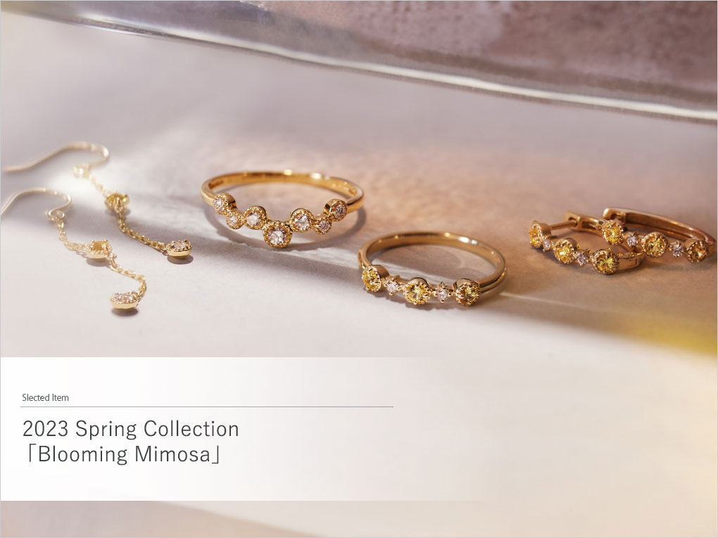 2023 Spring Collection�uBlooming of Mimosa�v