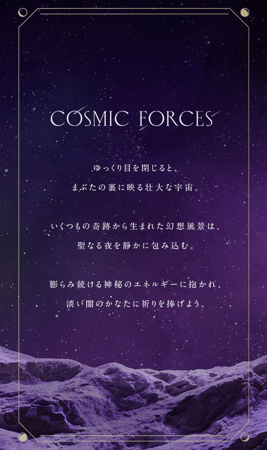 �y�̔��I���z�y���ԁE���ʌ���z2023 TSUTSUMI Winter Limied�uCOSMIC FORCES�v