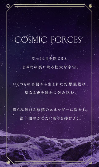 �y�̔��I���z�y���ԁE���ʌ���z2023 TSUTSUMI Winter Limied�uCOSMIC FORCES�v