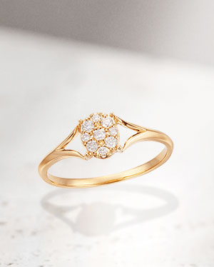 �y�c�c�~ 2024 Autumn Collection -BRILLIANT GRACE-�z�_�C�������h�̃p���F�����߂��N���V�b�N�ȕ��͋C�̃����O 