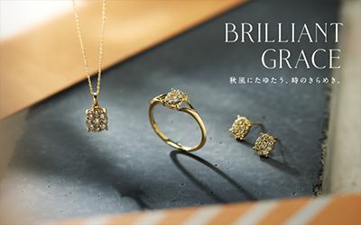 2024 Autumn CollectionwBRILLIANT GRACEx