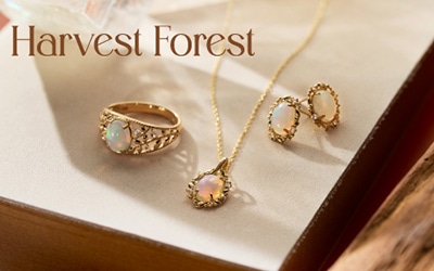 �u���[���g�⎩���ւ̂��J���ɃI�X�X���I 2026 AutumnCollection<br>Harvest Forest